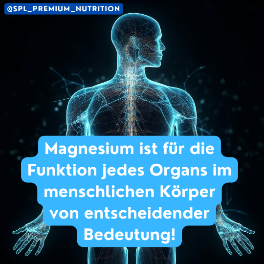 Die essenzielle Rolle von Magnesium im menschlichen Körper